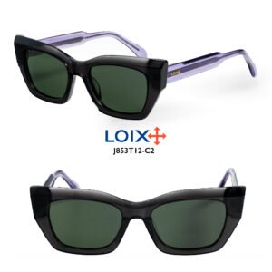 Gafas Unisex Acetato Moradas Polarizado LOIX J853T12-C2